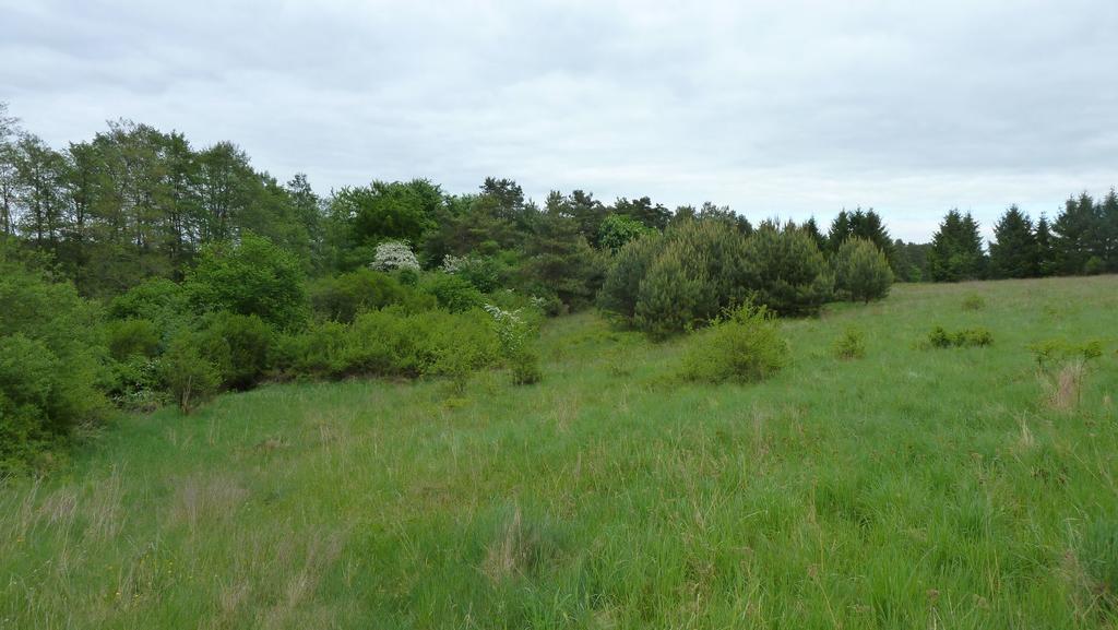 Bungalow Am Kuestrinsee Bei 利兴 外观 照片