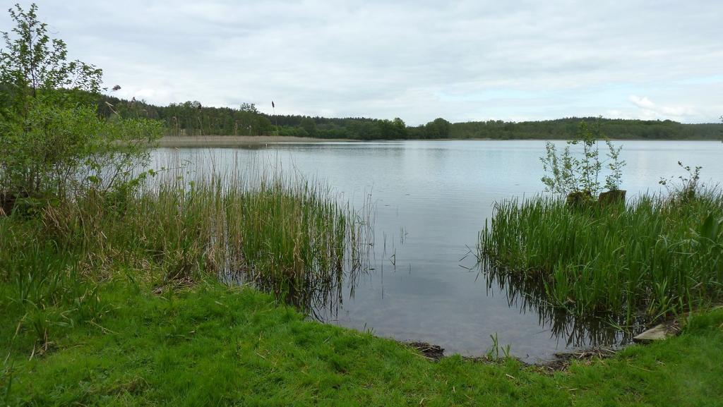 Bungalow Am Kuestrinsee Bei 利兴 外观 照片