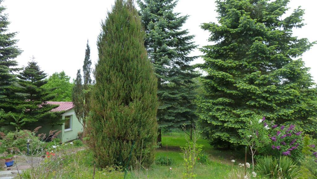Bungalow Am Kuestrinsee Bei 利兴 外观 照片