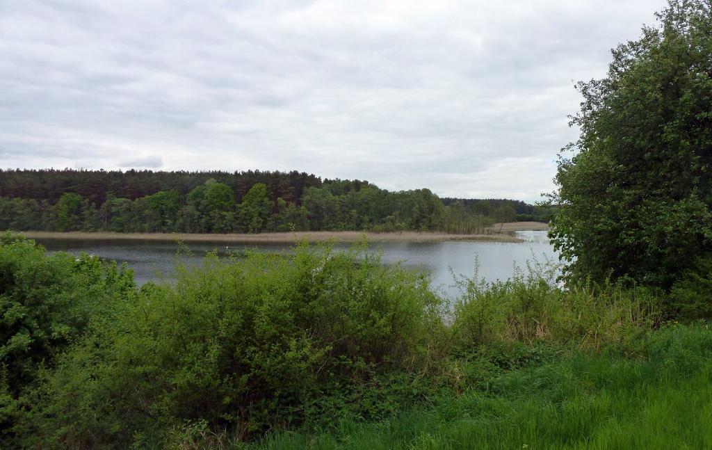 Bungalow Am Kuestrinsee Bei 利兴 外观 照片